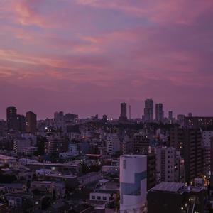 欲望胸器女教师
